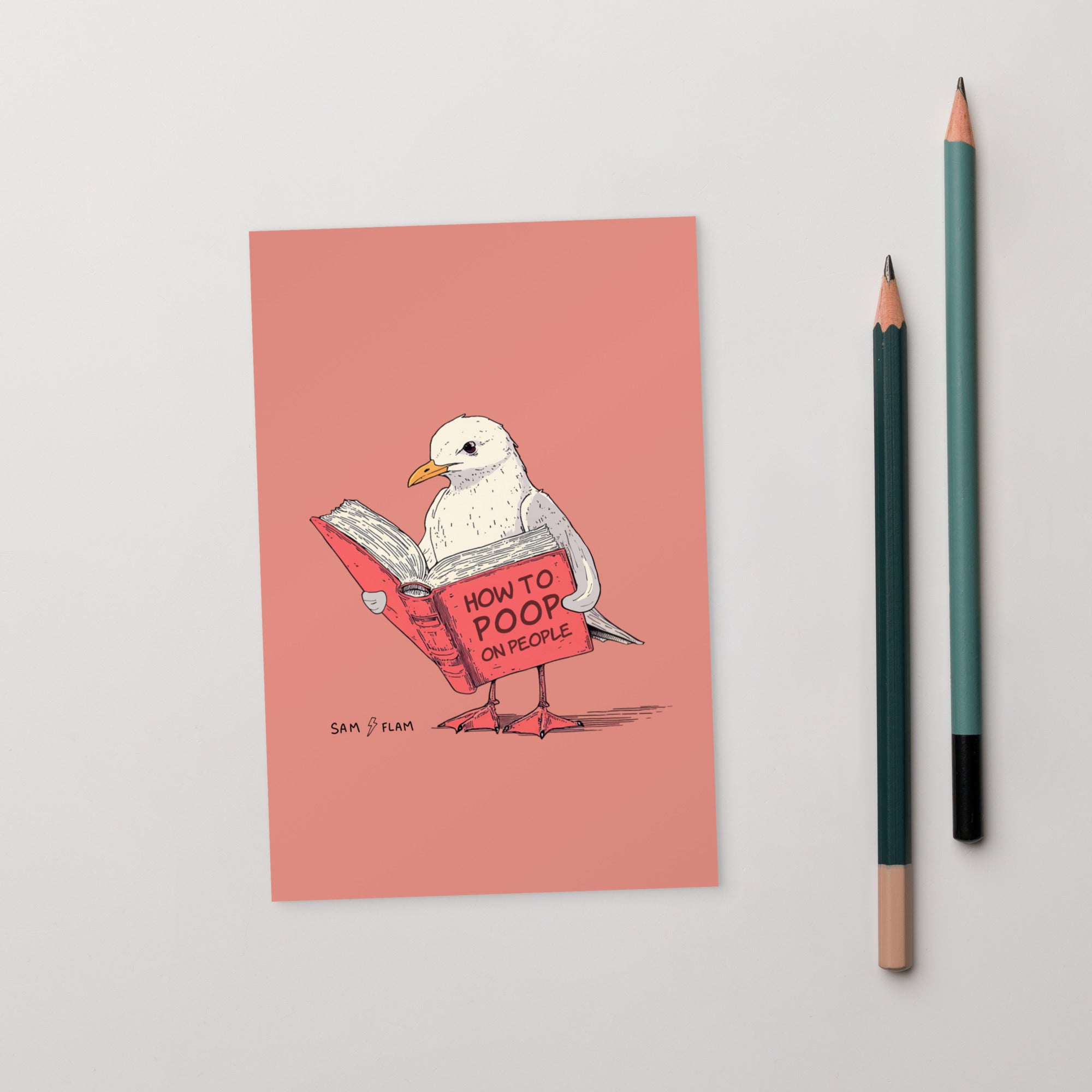 Standard Postcard